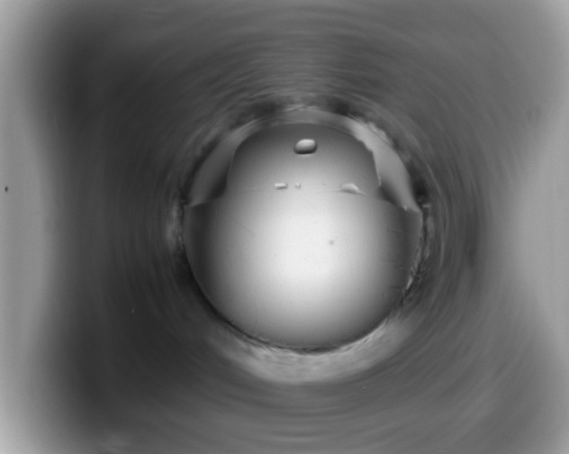 X0000099990048200805301421