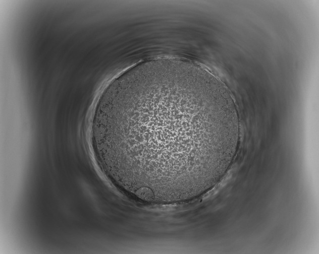 X0000099990049200805301421