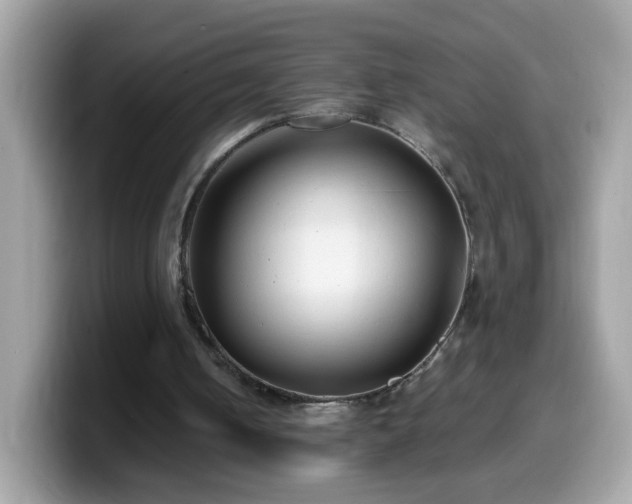 X0000099990050200805301421