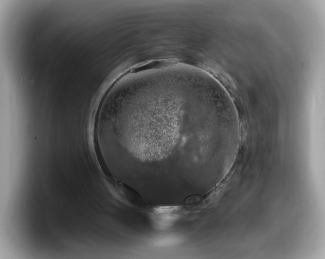X0000099990051200805301421