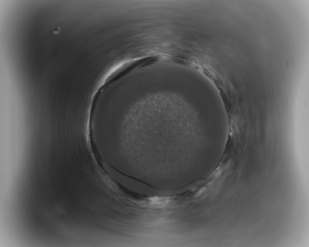 X0000099990052200805301421