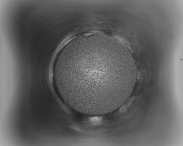X0000099990053200805301421