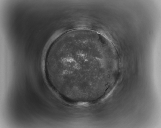 X0000099990055200805301421