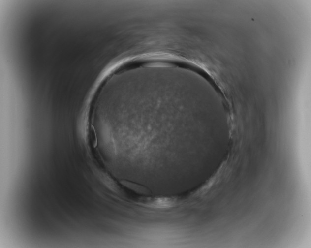X0000099990056200805301421