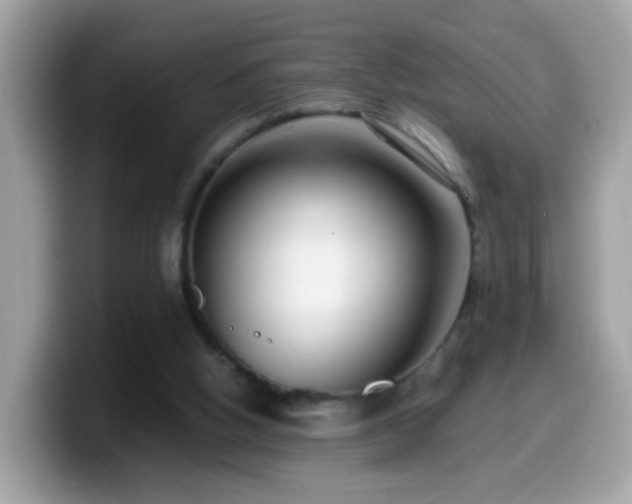 X0000099990058200805301421