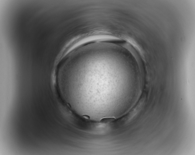 X0000099990060200805301421