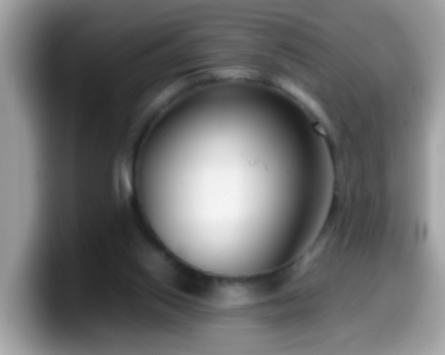 X0000099990062200805301421