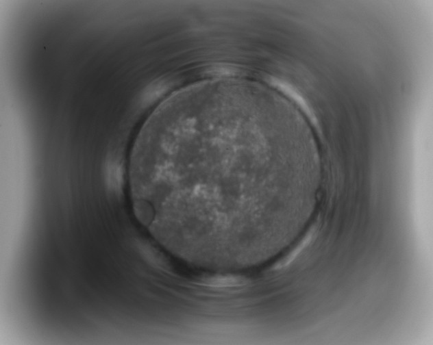 X0000099990063200805301421