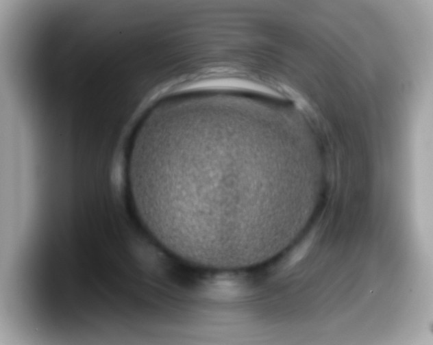 X0000099990064200805301421
