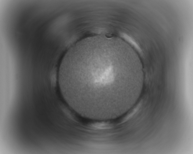 X0000099990065200805301421