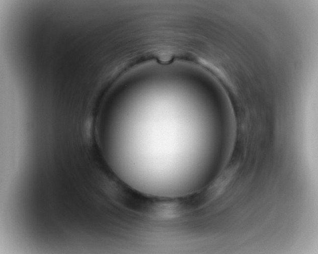 X0000099990066200805301421