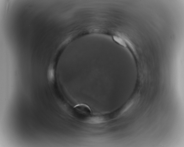 X0000099990067200805301421