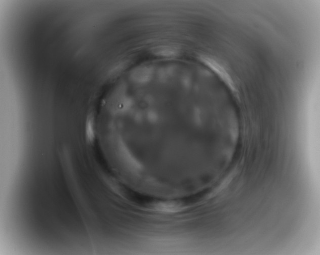 X0000099990069200805301421