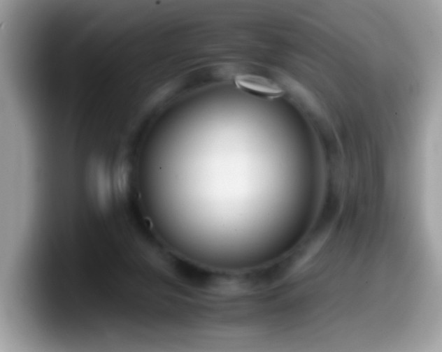 X0000099990071200805301421