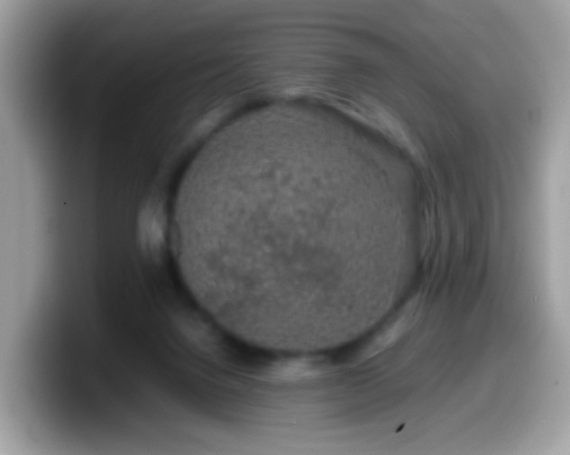 X0000099990072200805301421