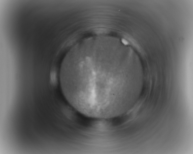 X0000099990074200805301421