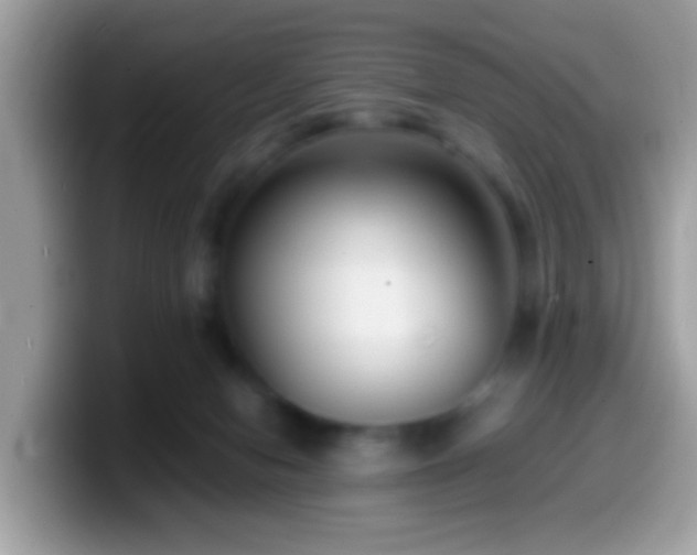 X0000099990078200805301421