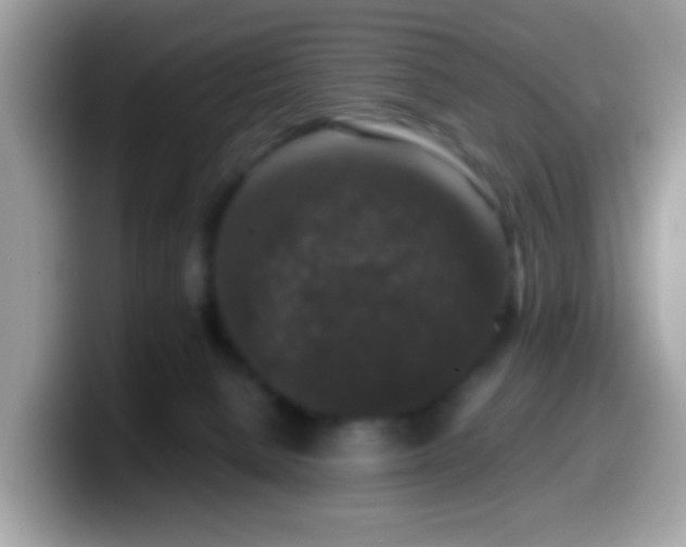 X0000099990080200805301421