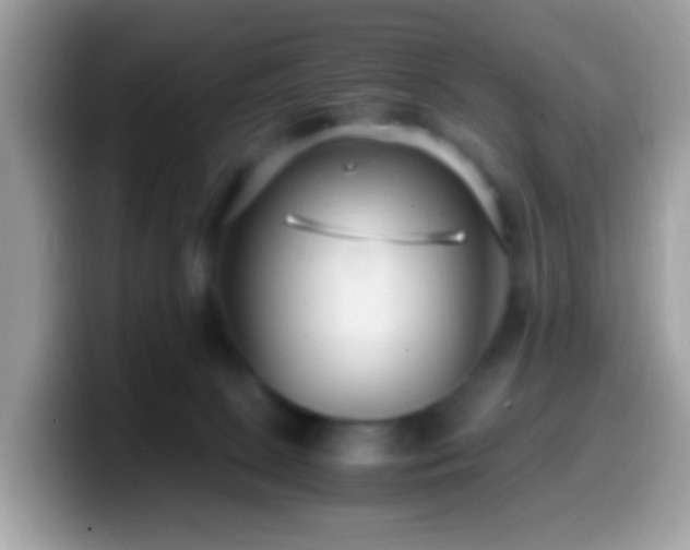 X0000099990081200805301421