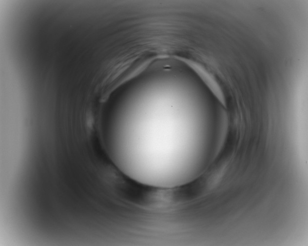 X0000099990084200805301421