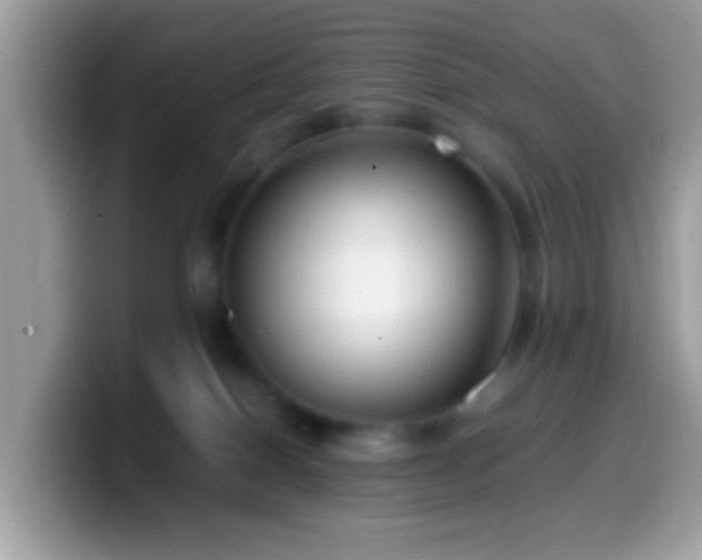 X0000099990086200805301421