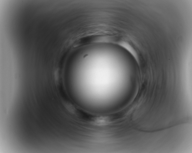 X0000099990088200805301421
