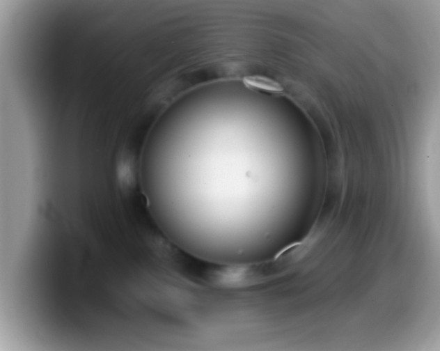 X0000099990090200805301421