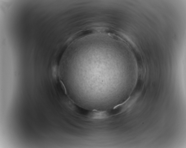 X0000099990093200805301421