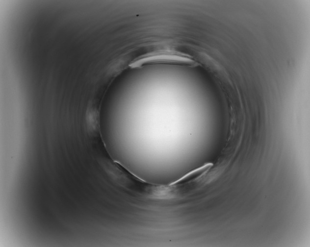 X0000099990096200805301421