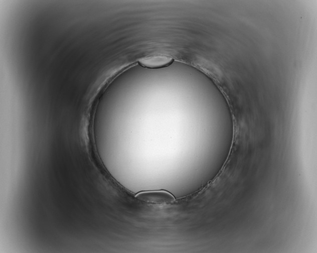 X0000099990098200805301421
