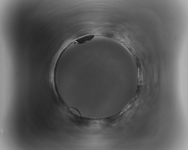 X0000099990099200805301421
