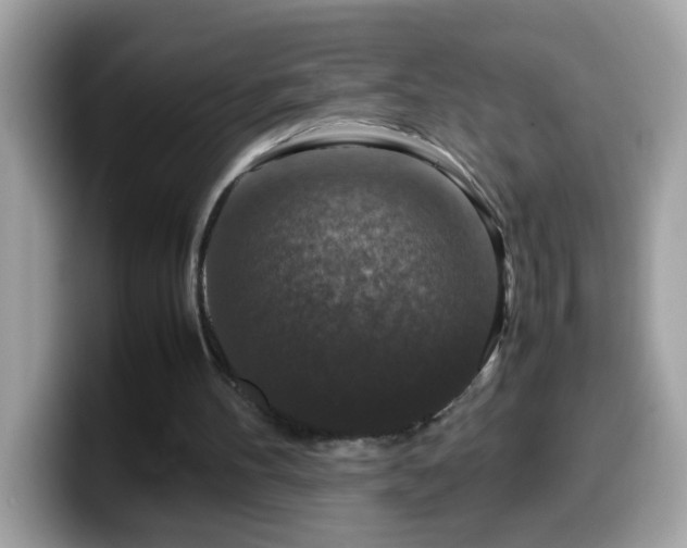 X0000099990100200805301421