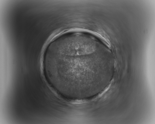 X0000099990101200805301421