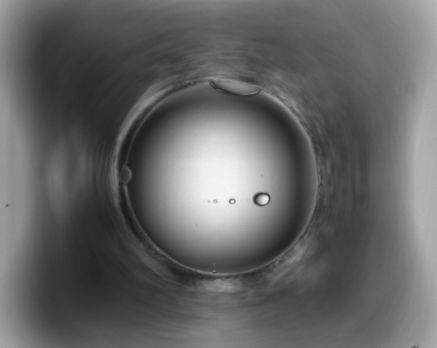 X0000099990102200805301421