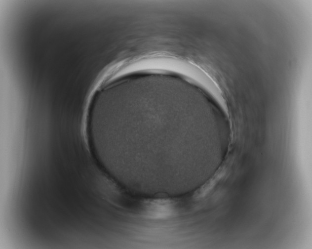 X0000099990104200805301421
