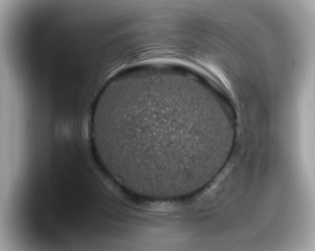 X0000099990105200805301421