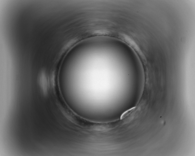 X0000099990106200805301421