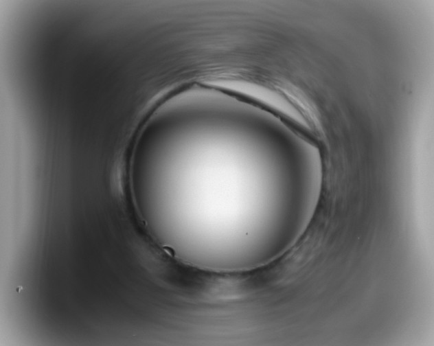 X0000099990107200805301421