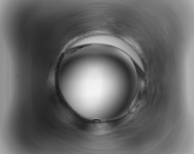 X0000099990108200805301421