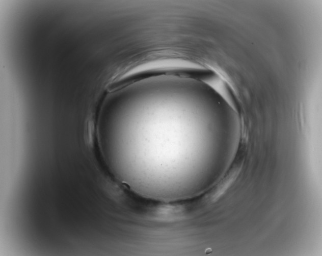 X0000099990109200805301421
