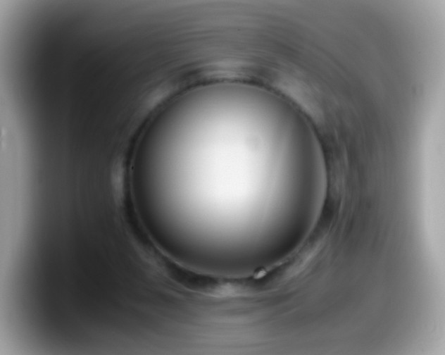 X0000099990111200805301421