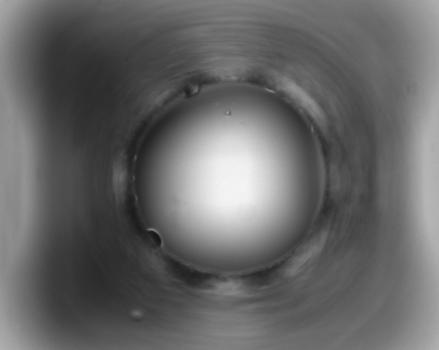 X0000099990113200805301421