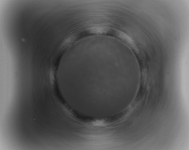X0000099990114200805301421