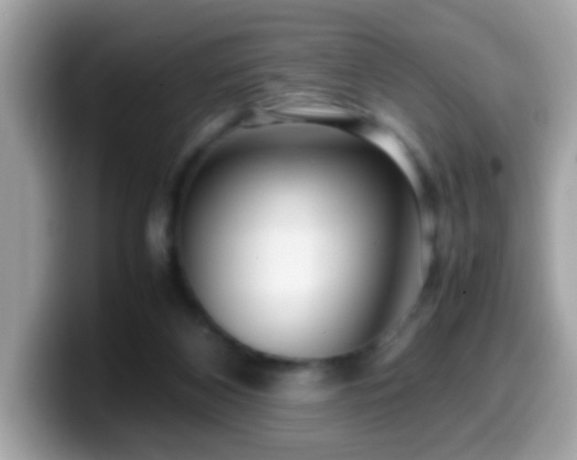 X0000099990116200805301421