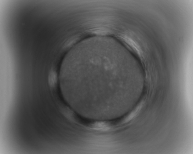 X0000099990117200805301421