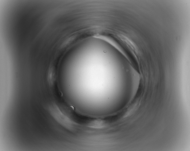 X0000099990119200805301421
