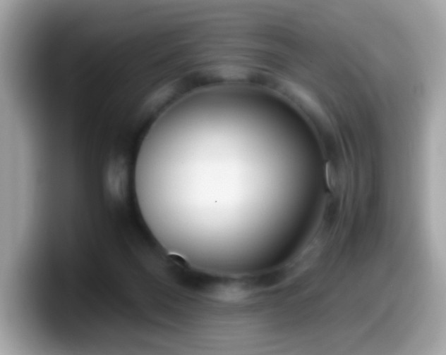 X0000099990120200805301421