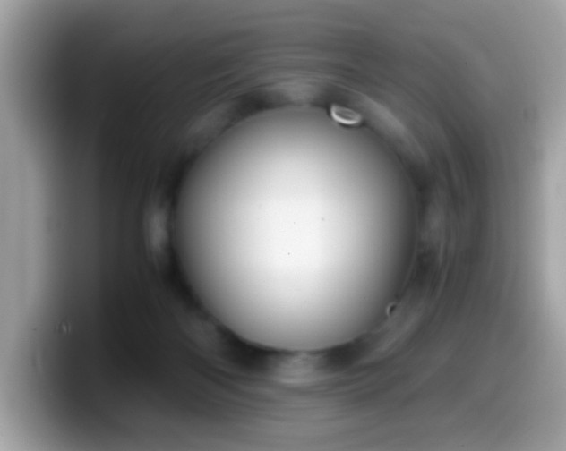 X0000099990122200805301421