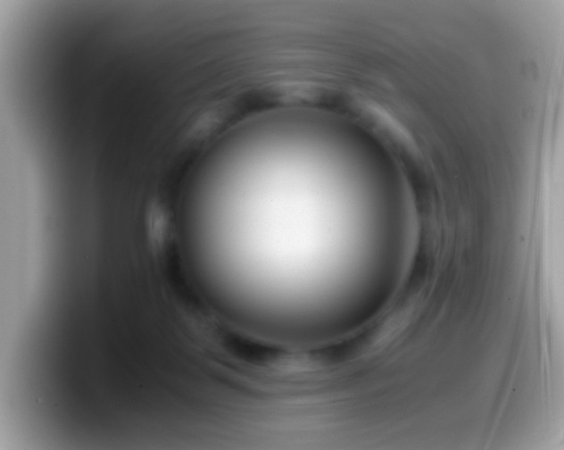 X0000099990123200805301421