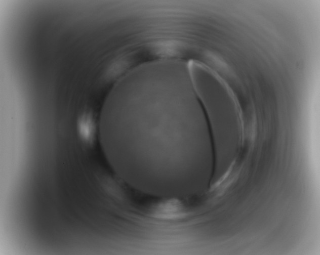 X0000099990124200805301421